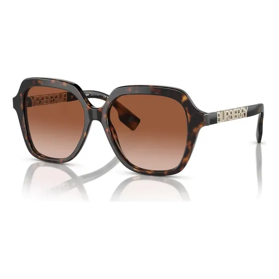Lentes Anteojos Sol Burberry Be4389 Lente Marrón Varilla Havana Armazón Havana Diseño 300213-55-l