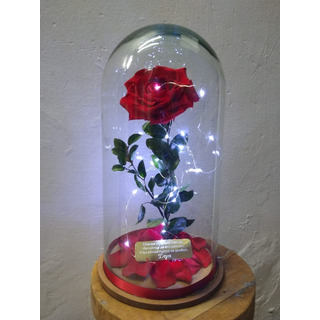 Rosa Eterna De 45 Cm Con Luz Y Placa Rosa Eterna De 45 Cm Con Luz Y Placa