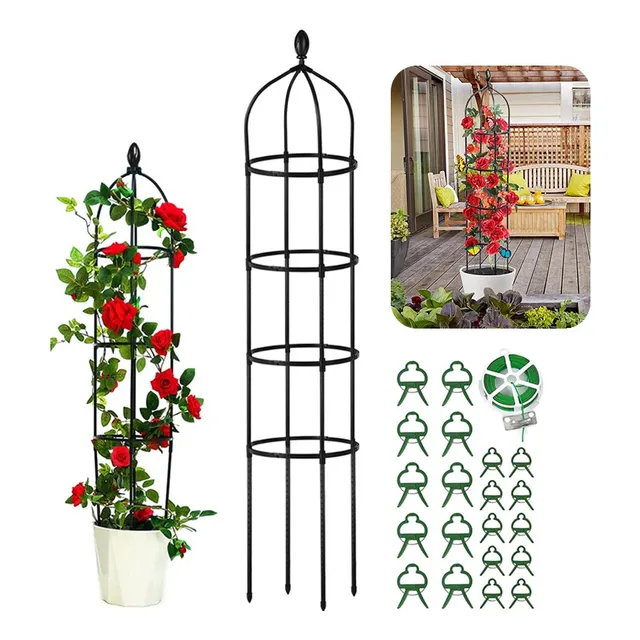 Soporte Tutor Plantas Trepadoras Enredaderas Rosales Obelisc