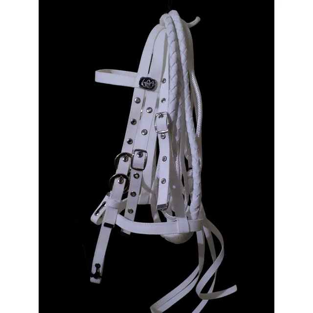 Juego De Cabezal Completo Con Bosal,riendas Y Falseta