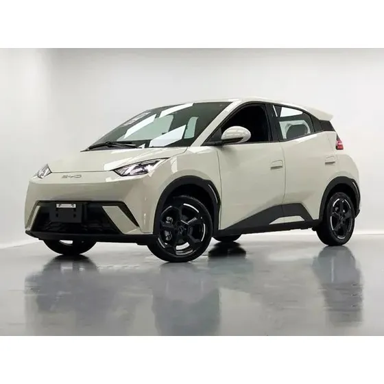 Byd Dolphin Mini 38 Kw Elétrico
