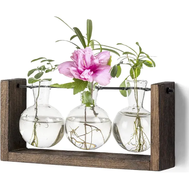 Terrario Para Plantas Con Soporte De Madera Maceta De Vidrio