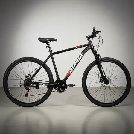 Bicicleta Alpina Mtb Mountain Bike 1.0 Rodado 29 21 Velocida