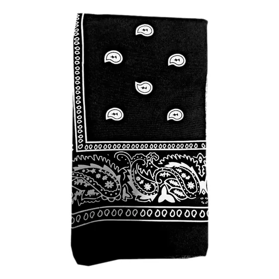 Pañoleta Bandana Estampada Colores Moda