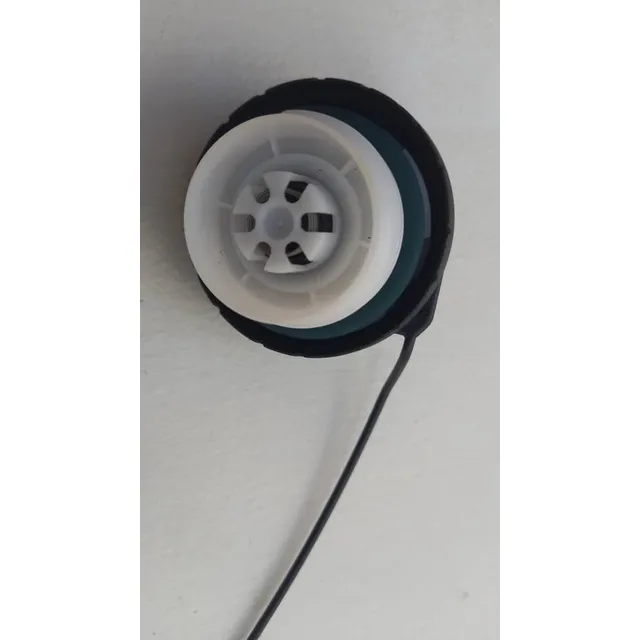 Tapa Externa Llenado Gasolina C3500 11/ 20923886