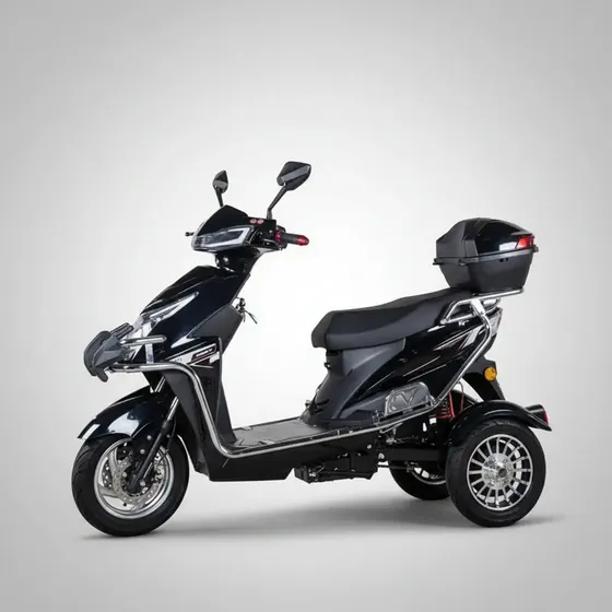 Triciclo Elétrico Adulto Motorizado 1000w Moto 2 Pessoas