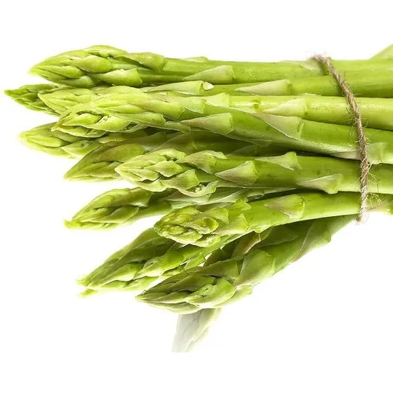 Plantas Espárrago