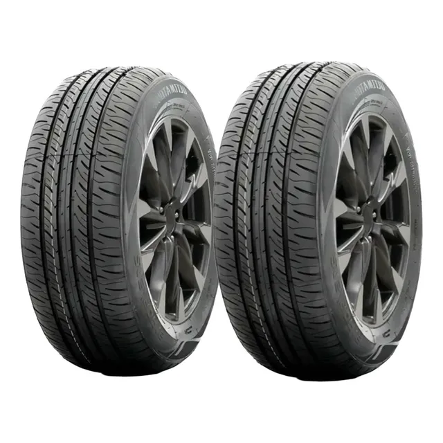 Pneu Delmax Touring S2 175/75r14 86t