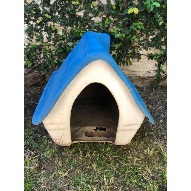 Cucha Perro Mediano Azul
