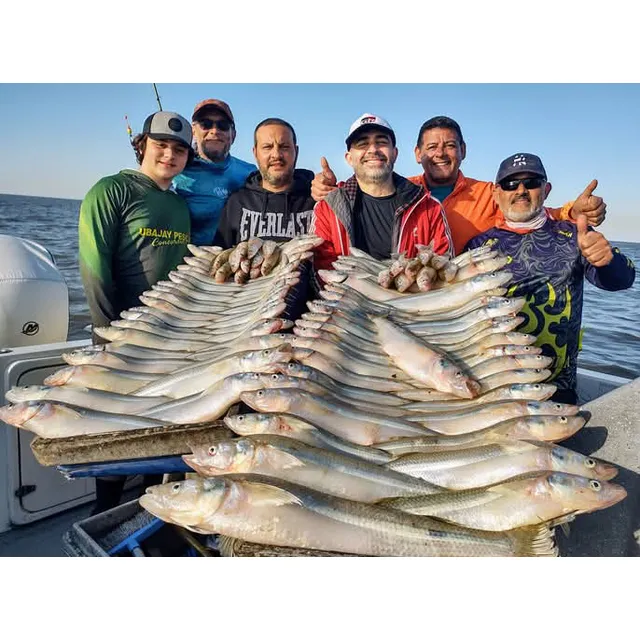  Guia Pesca Pejerrey  Embarcada Rio De La Plata