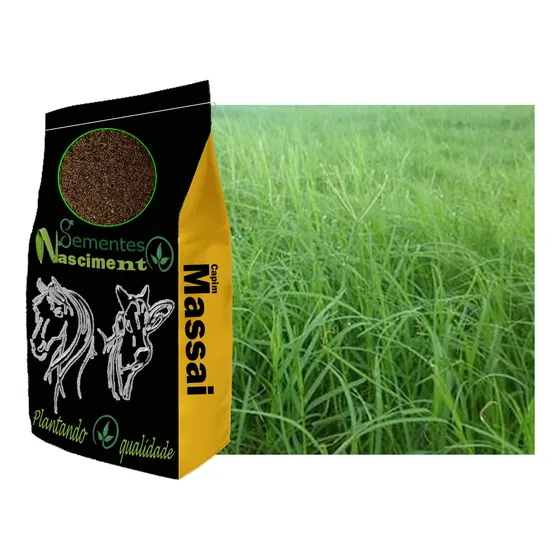 2kg Sementes De Capim Massai
