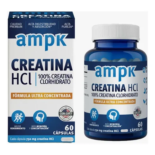 is l carnitine safe to take daily Supplement Gnc Acetyl-l-carnitine Alpha-lipoic Acid 500/200m