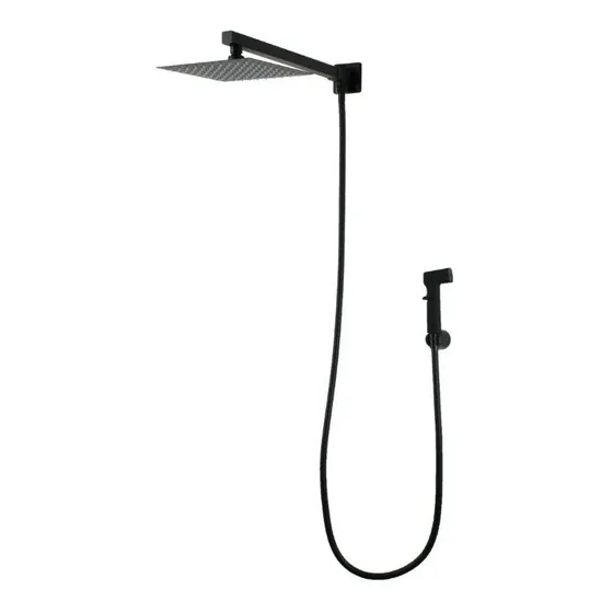 Chuveiro Ducha Bigfalls Com Desviador 30cm Preto Fosco Mg53