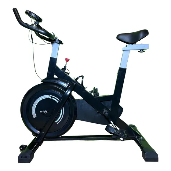Bicicleta Fija Spinning Mecánica President - Disco De Inercia De 11 Kg - Usuario 120 Kg - Resistencia Mecánica Entrenamiento Silencioso - Pedales Ajustables, Estructura Fuerte Y Robusta - Negra