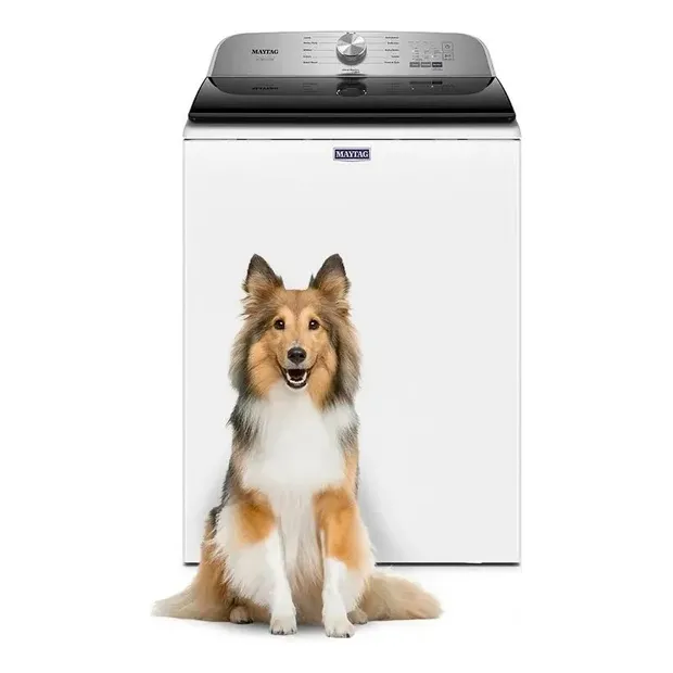 Lavadora Maytag 7mmvw6500rw Bco Pet Pro
