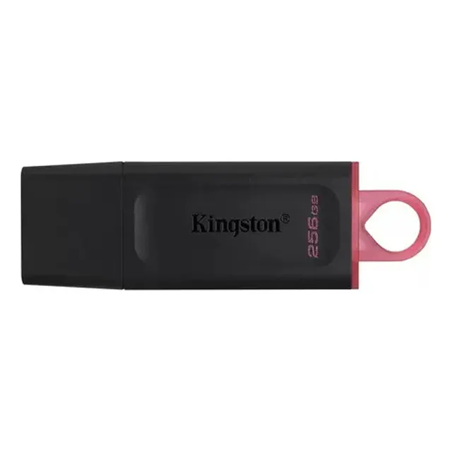 Pen Drive Kingston Data Traveler 100 256gb Usb Dimm