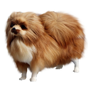 Modelo De Simulación E: Simulación De Perro De Pomerania, Mo Modelo De Simulación E: Simulación De Perro De Pomerania, Mo