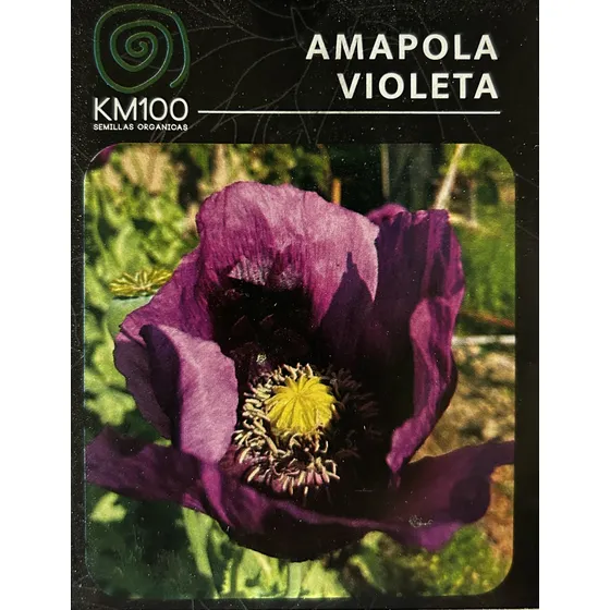 Semillas Orgánicas De Amapola, Violeta