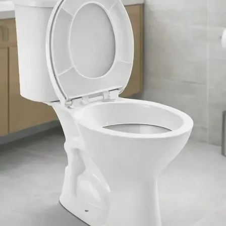 Vaso Sanitário + Caixa Acoplada Hervy Louças Branco