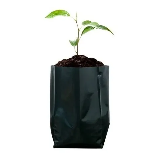 Bolsas De Vivero 1/2 Kg  14x18 Paquete De 100 Unidades