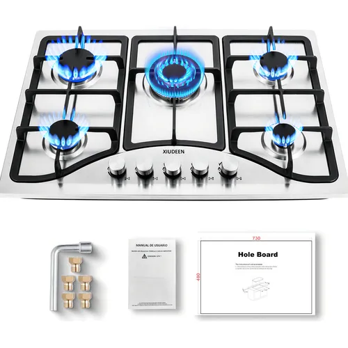 Parrilla De Gas Empotrable Estufa De Mesa 5 Quemadores Acero Inoxidable Xiudeen Xd5001 Plateado