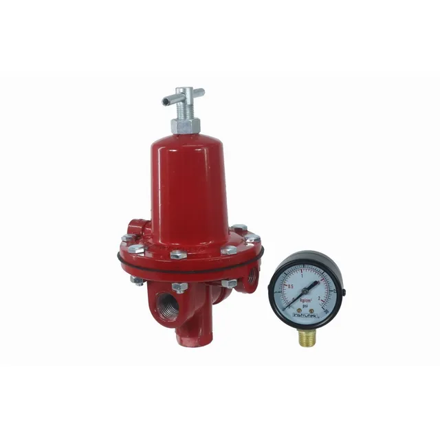 Regulador Para Gas
