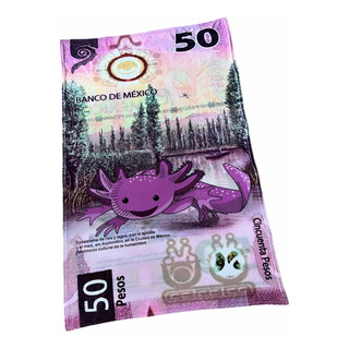 Frazada Ajolote Cobija Billete 50 Tela Polar Suave 105x160cm Frazada Ajolote Cobija Billete 50 Tela Polar Suave 105x160cm