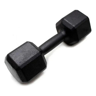 Halter Sextavado 10kg Ferro Pintado Rae Fitness Profissional Halter Sextavado 10kg Ferro Pintado Rae Fitness Profissional