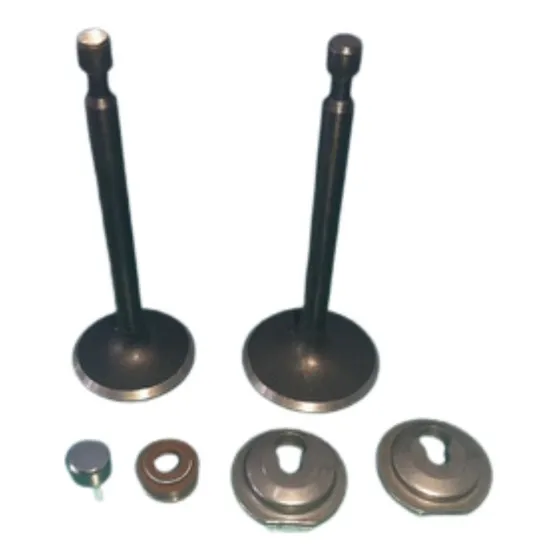 Kit Valvulas A Gasolina 13hp 188f