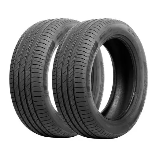 02 Pneus 215/55 R18 99v Ds2  Tracker Aro 18 (par)