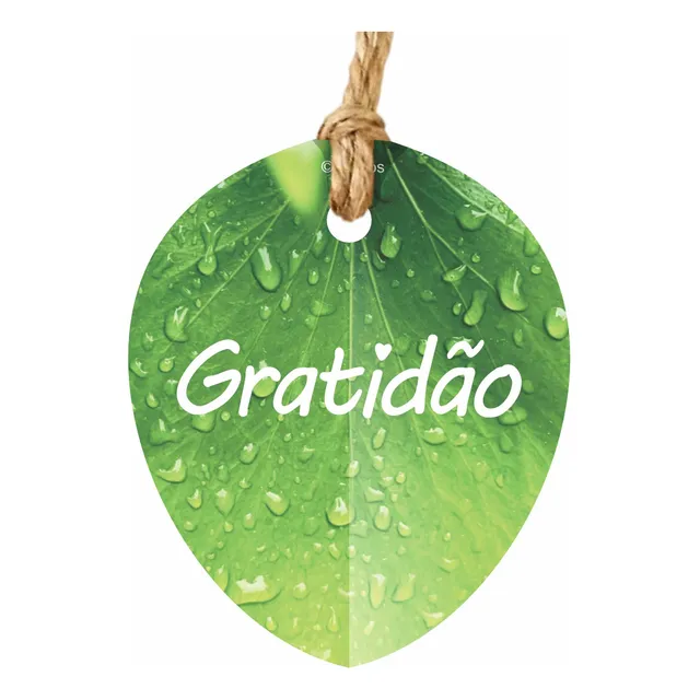 50 Tags Folhagem Frase Gratidão Apliques Folha Verde 5x6cm