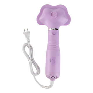Cepillo Secador De Pelo Para Mascotas, 600 W, Ajustable Cepillo Secador De Pelo Para Mascotas, 600 W, Ajustable