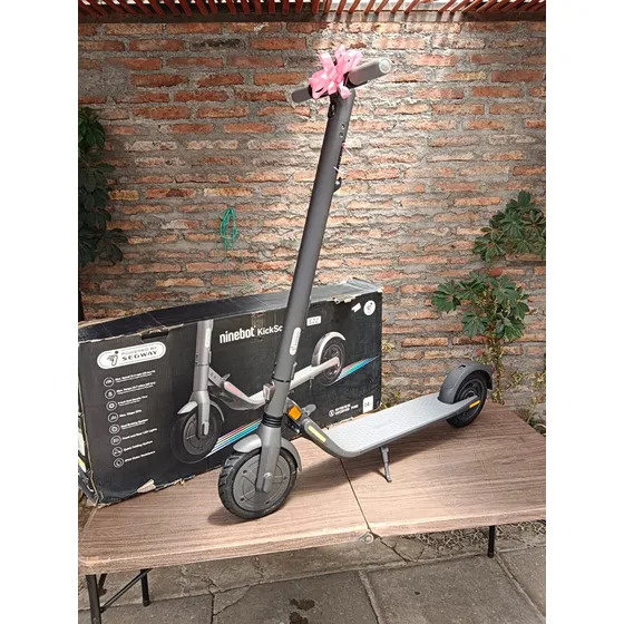 Scooter Eléctrico Ninebot Segway E22 Lp Plegable 20 Km/h