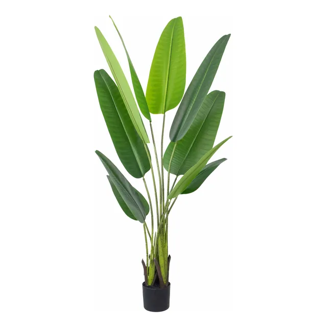 Planta Artificial Strelitzia Ave Del Paraíso 160cm Premium