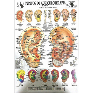 Kit Poster+tarjetas De Auriculoterapia Kit Poster+tarjetas De Auriculoterapia