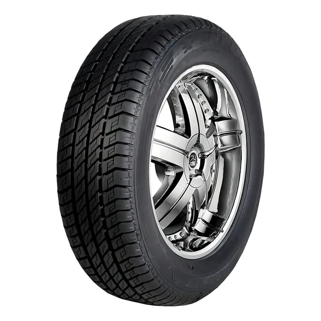 Radburg Kit de 2 llantas pasajero SPORT RS3 P 195/55R16 87 V