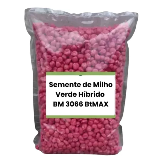 Sementes Milho 3066 Resistente Silagem E Mv - 1.000 Sementes