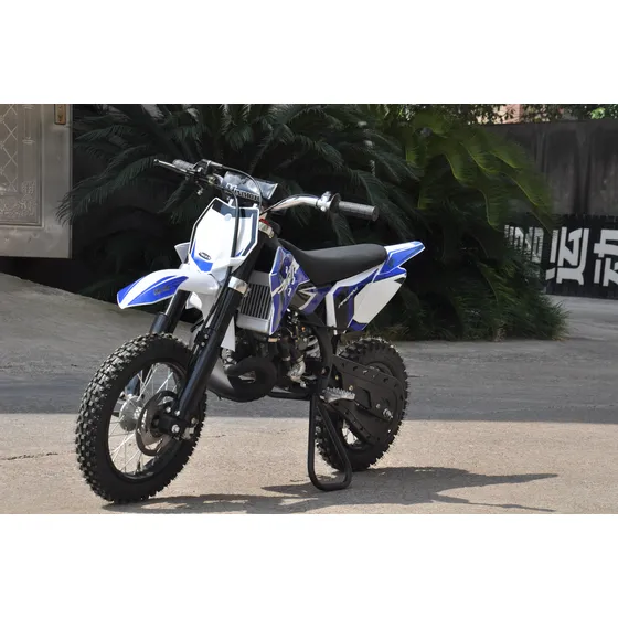 Mini Moto Pgn 50cc 2 Tiempos Pagani