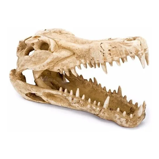 Penn Plax Adorno Acuario Resina Cocodrilo, 23x10x14 Cms