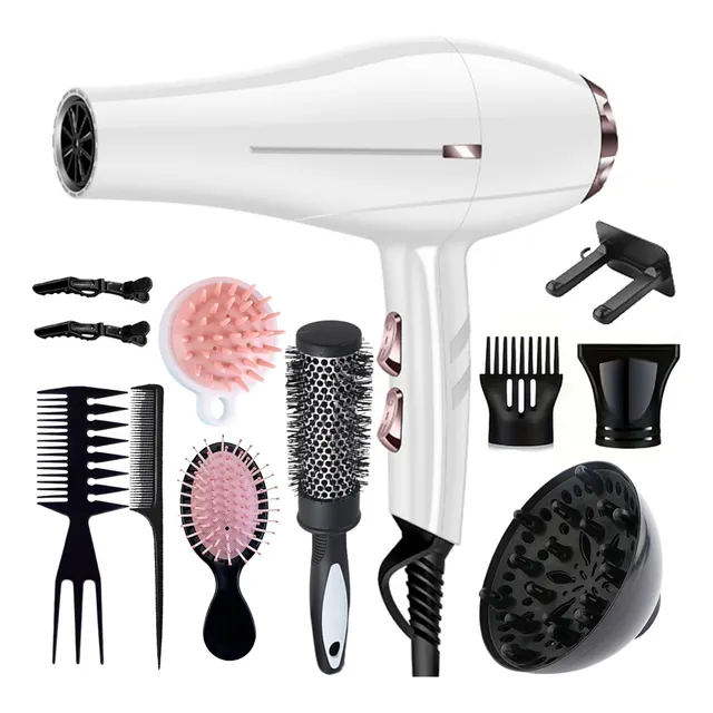 Secadora De Cabello Profesionalsecadora Con Difusor 12 En 1 Color Blanco Pistola Secadora Para Cabello Profesional Para Estetica Secadora De Aire Frio