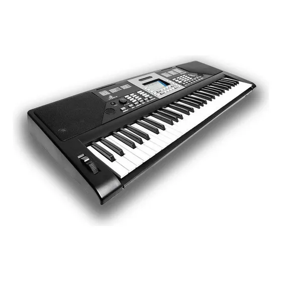 Teclado Arranjador Pegasus P222 61 Teclas Preto