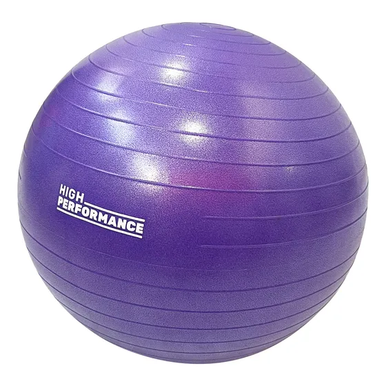 Pelota De Esferodinamia Gym Ball 55 Cm. Pilates Yoga S/inf