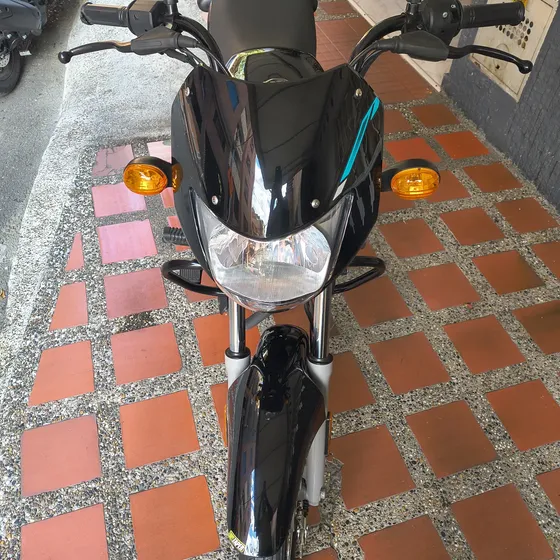 Boxer Ct 100