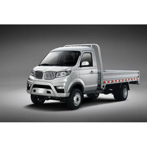Shineray T30 T30 Minitruck Cab Simple