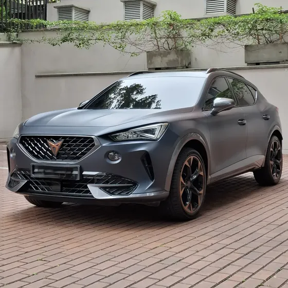 Cupra Formentor 2023 2.0 Tsi Mate Dsg