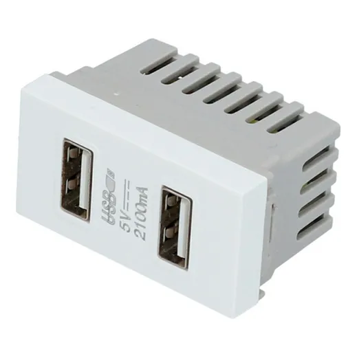 20 Módulos Usb Doble 1/3, Línea Premium, Color Blanco Surtek