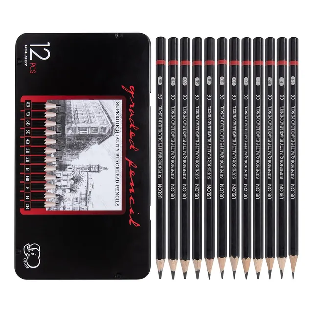 Kit Para Dibujo Lápices De Madera Profesional 12 Piezas
