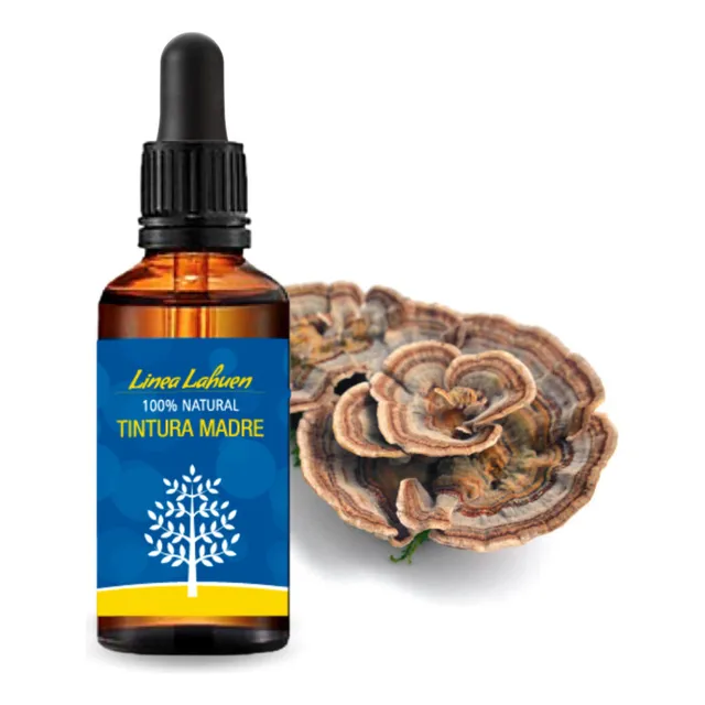 Tintura Madre Cola De Pavo - Turkey Tail 50ml