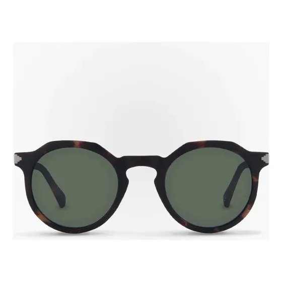 Lentes De Sol Pingüino Havana