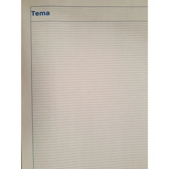 Papel Rotafolio 70x95 Dipao